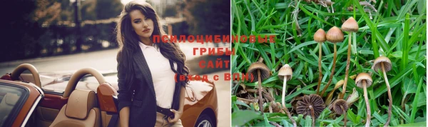 спайс Алексеевка