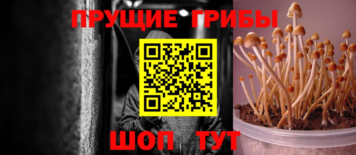 Псилоцибиновые грибы мицелий  Вход с VPN  Псилоцибиновые грибы прущие грибы  Нарьян-Мар 
